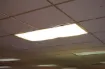 1303374_1.jpg