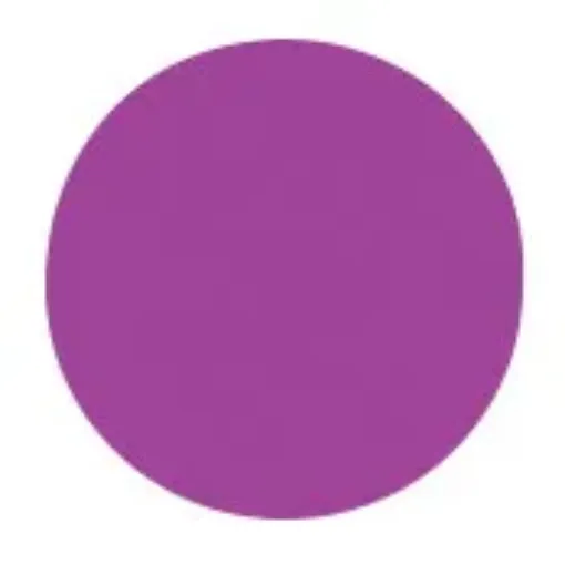 404798.jpg