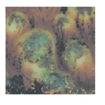 404847.jpg