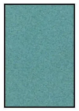 405204.jpg
