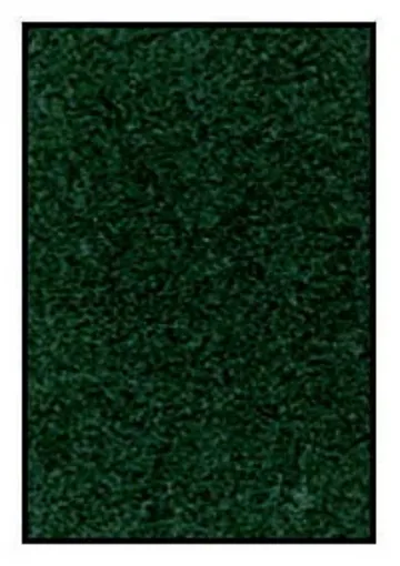 405214.jpg