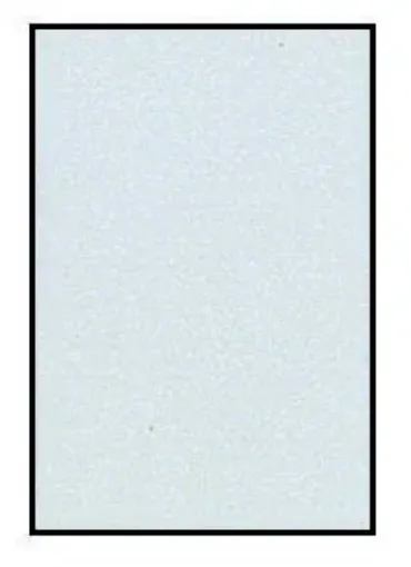 405217.jpg