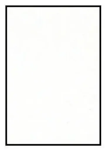 405231.jpg