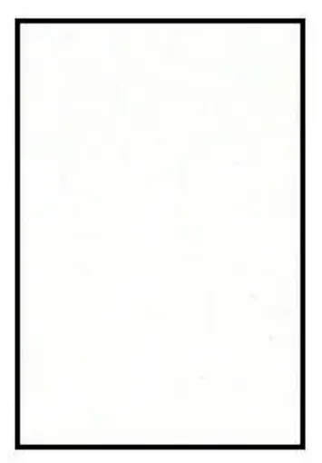405229.jpg