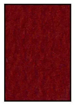405240.jpg