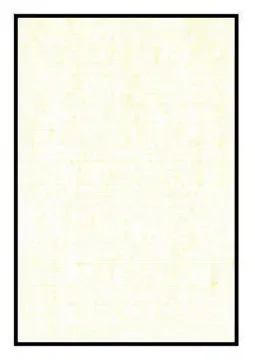 405244.jpg