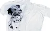 406803.jpg