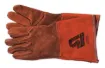 SS145725_1.jpg
