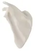 1268651_1.jpg