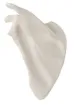1268651.jpg