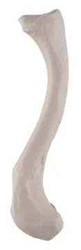 1268654.jpg