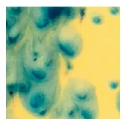 407173.jpg