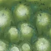 407174.jpg
