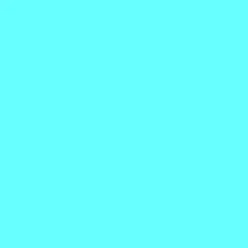 078817.jpg