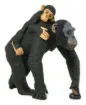 204924_22.jpg