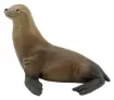 204924_8.jpg