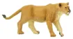 204924_10.jpg
