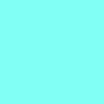 247815.jpg