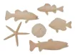 SS139548_1.jpg