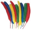 SS138221_1.jpg