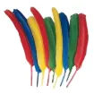 SS138220_1.jpg