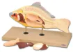 SS158290_1.jpg