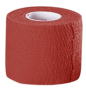 1468185.jpg
