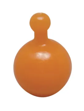 1437779.jpg