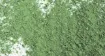 1439129_2.jpg