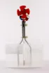 SS160718_1.jpg