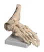 SS160763_1.jpg