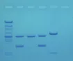 1490699.jpg