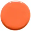 1367923.jpg
