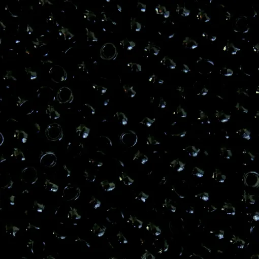 1368015.jpg