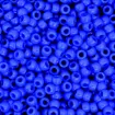 1368016.jpg