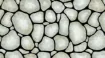 1369539_1.jpg