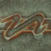 SS152480_1.jpg