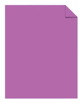 1377906.jpg