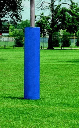 1393513.jpg