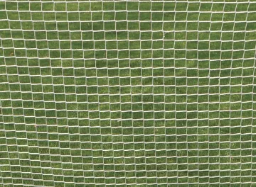 1393783_1.jpg