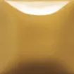 1430094.jpg