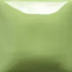 SS155933_1.jpg