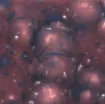1432945_1.jpg