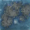 1432951.jpg