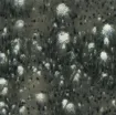 1432957_1.jpg