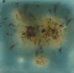 1432960_1.jpg