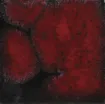 1432985_1.jpg