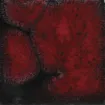 1432985.jpg