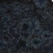 1432989.jpg