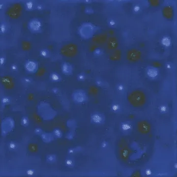 1432995.jpg